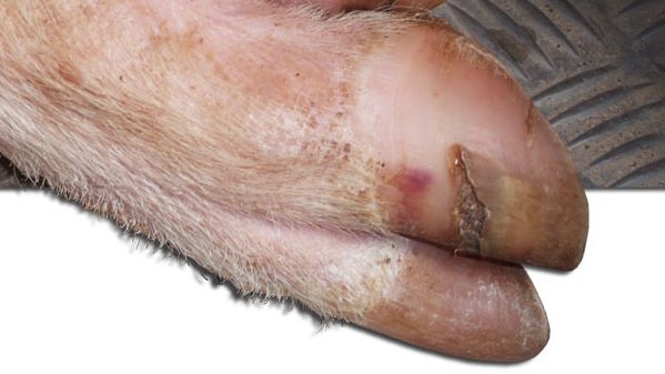 Grietas en la pared lateral