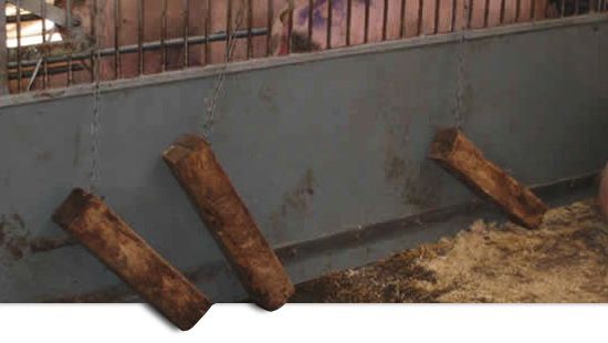 Mat&eacute;riel manipulable dans la case.