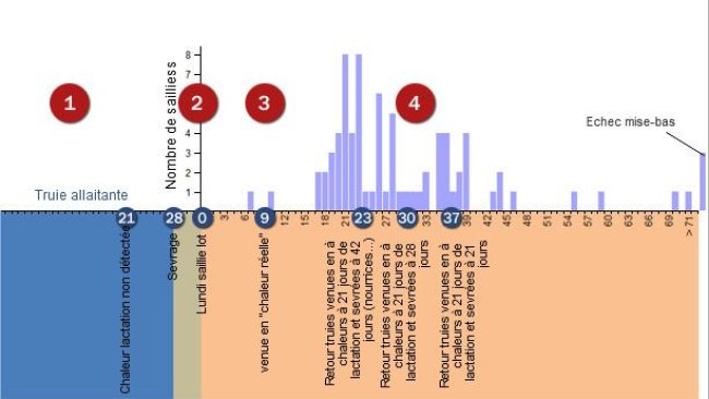 Análisis repeticiones periodo conflictivo