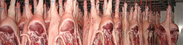 Abattoir de porcs