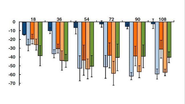 changements dans la capacité phagocytaire des macrophages alvéolaires porcins à différents moments post-infection par le PCV2, le SDRP, PCV2 + SDRP, SDRP + PCV2, PCV2 + SDRP (simultanément) et un témoin.
