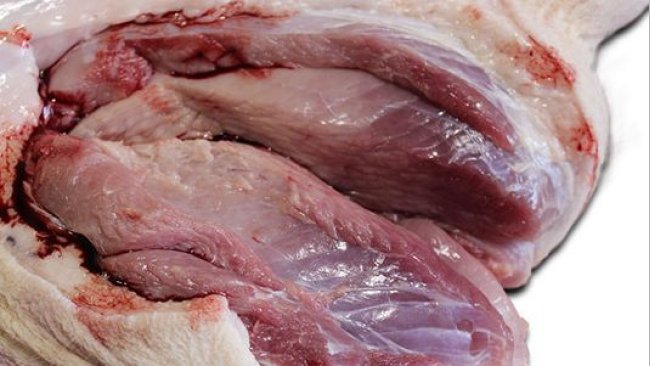 Pâleur prononcée du M. semimembranosus