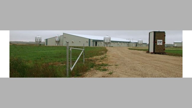 Elimination du virus SDRP