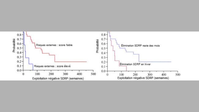 Probabilité pour une exploitation de rester négative au SDRP