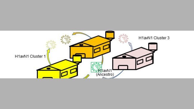 Hétérogénéité génétique et antigénique liée à l'exploitation