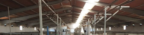 B&acirc;timent de gestation confirm&eacute;e avec installation longitudinale de la partie translucide