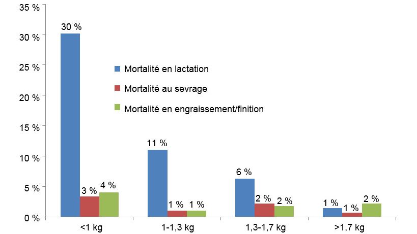 Mortalit&eacute; pour chaque groupe de poids &agrave; chaque &eacute;tape de production.