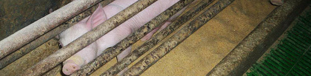 Si les trois zones ne restent pas bien d&eacute;limit&eacute;es, on aura des probl&egrave;mes.