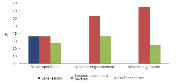 Figure 2&nbsp;: Pr&eacute;valence des l&eacute;sions de pieds chez les truies de renouvellement en fonction de la ration consomm&eacute;e pendant leur d&eacute;veloppement. La consommation d&rsquo;une ration sp&eacute;cifique pour les truies de renouvellement entra&icirc;ne une r&eacute;duction de la pr&eacute;valence des l&eacute;sions.
