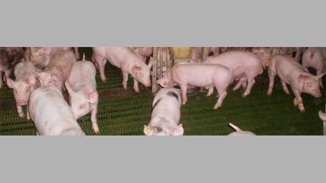 En las ultimas décadas el grado de tecnificación y la evolución de los sistemas productivos a todos los niveles ha sido constante