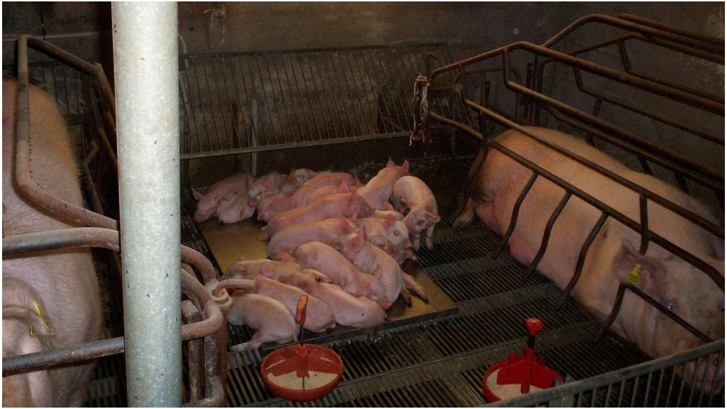 Salle de maternit&eacute; o&ugrave; on a enlev&eacute; les s&eacute;parations
