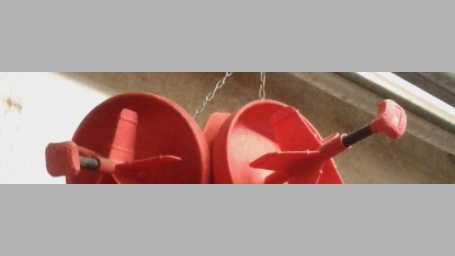 Groupe de mangeoires suspendues à une chaîne