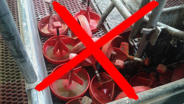 Mangeoires rangées incorrectement.