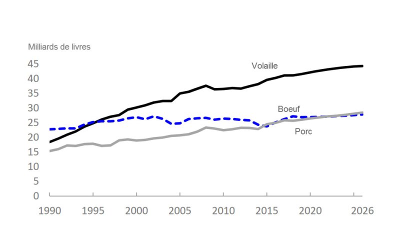 Production des USA de viande rouge et volaille