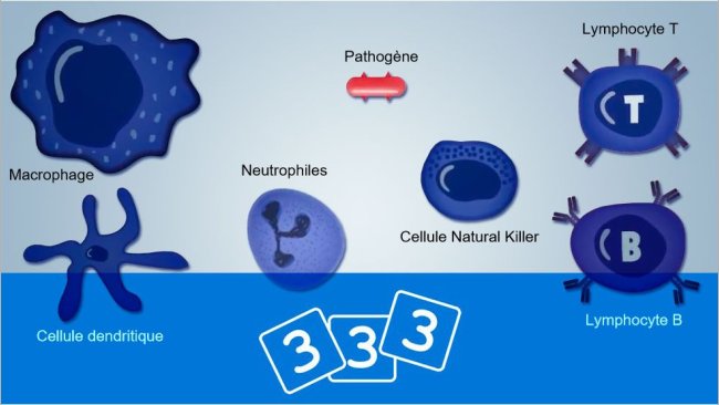 Venez redécouvrir l'immunologie chez 3trois3