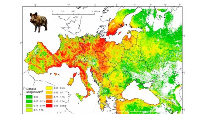 Figure 2: Population modélisée des sangliers en Europe. Source: FAO-ASFORCE, Mai 2015
