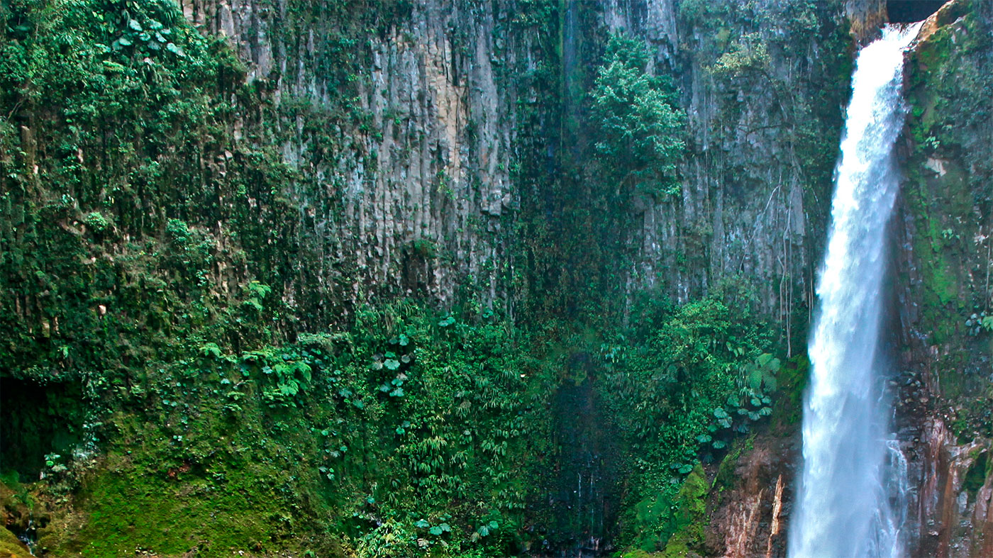 Catarata
