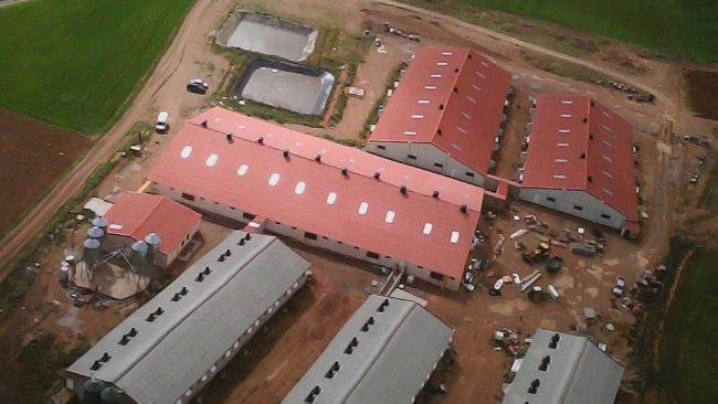 Les grands élevages chauffés et bien structurés permettent de travailler avec des niveaux plus élevés de bien-être animal et permettent aux éleveurs de profiter de périodes de travail et de vacances qui étaient auparavant interdites, mais certains secteurs sociaux les voient de manière très négative.