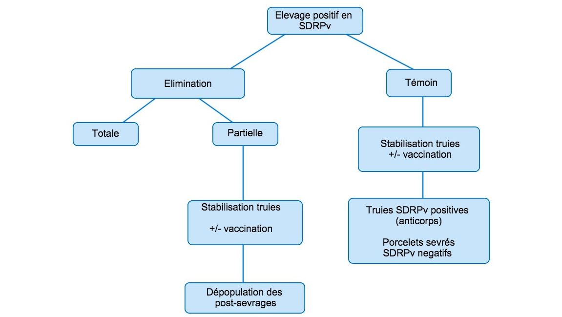 Figure 1. Vue sch&eacute;matique des diff&eacute;rentes approches dans les &eacute;levages positifs en SDRPv

