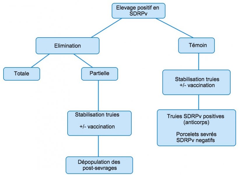 Figure 1. Vue sch&eacute;matique des diff&eacute;rentes approches dans les &eacute;levages positifs en SDRPv
