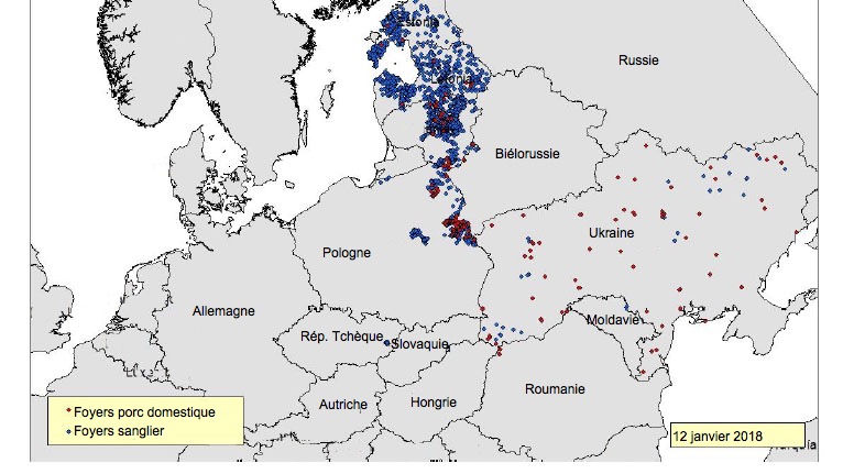 Foyers de PPA d&eacute;clar&eacute;s dans l&#39;est de l&#39;Europe depuis juin 2017 (Source : RASVE-ADNS)
