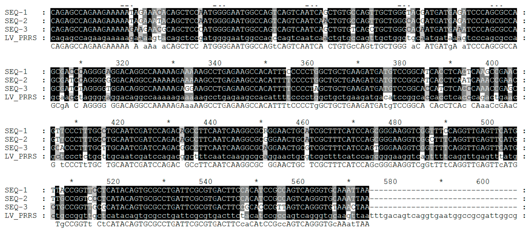 Figure 2. Le s&eacute;quen&ccedil;age du virus est r&eacute;alis&eacute; &agrave; partir de produits de PCR en obtenant la lecture de nucl&eacute;otides g&eacute;n&eacute;ralement &agrave; partir de certains fragments du g&eacute;nome de l&#39;ARN viral dans certaines r&eacute;gions ORF cibles.
