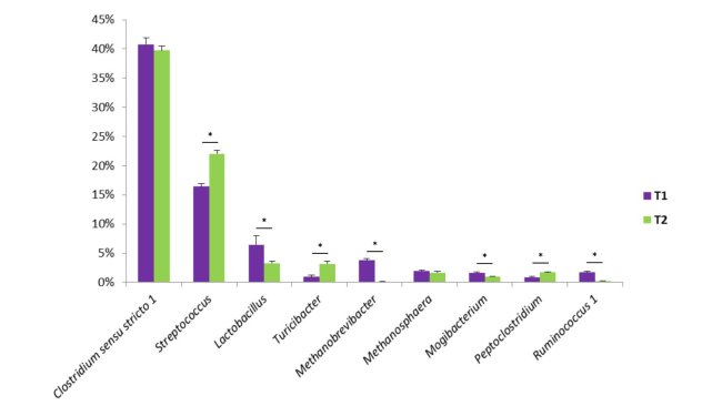 Figure 1. Quelques genres bactériens trouvés dans les fèces porcins. T1 est le témoin. T2 est un groupe traité avec un mélange de Bacillus dans l'aliment.