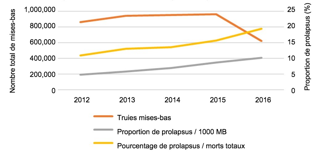 <p>Fig.1 Nombre total de mises-bas dans l'analyse et &eacute;volution dans le temps de la proportion de prolapsus de truies sur 1000 truies mises-bas ou sur le nombre total de&nbsp;truies mortes dans les &eacute;levages.</p>
