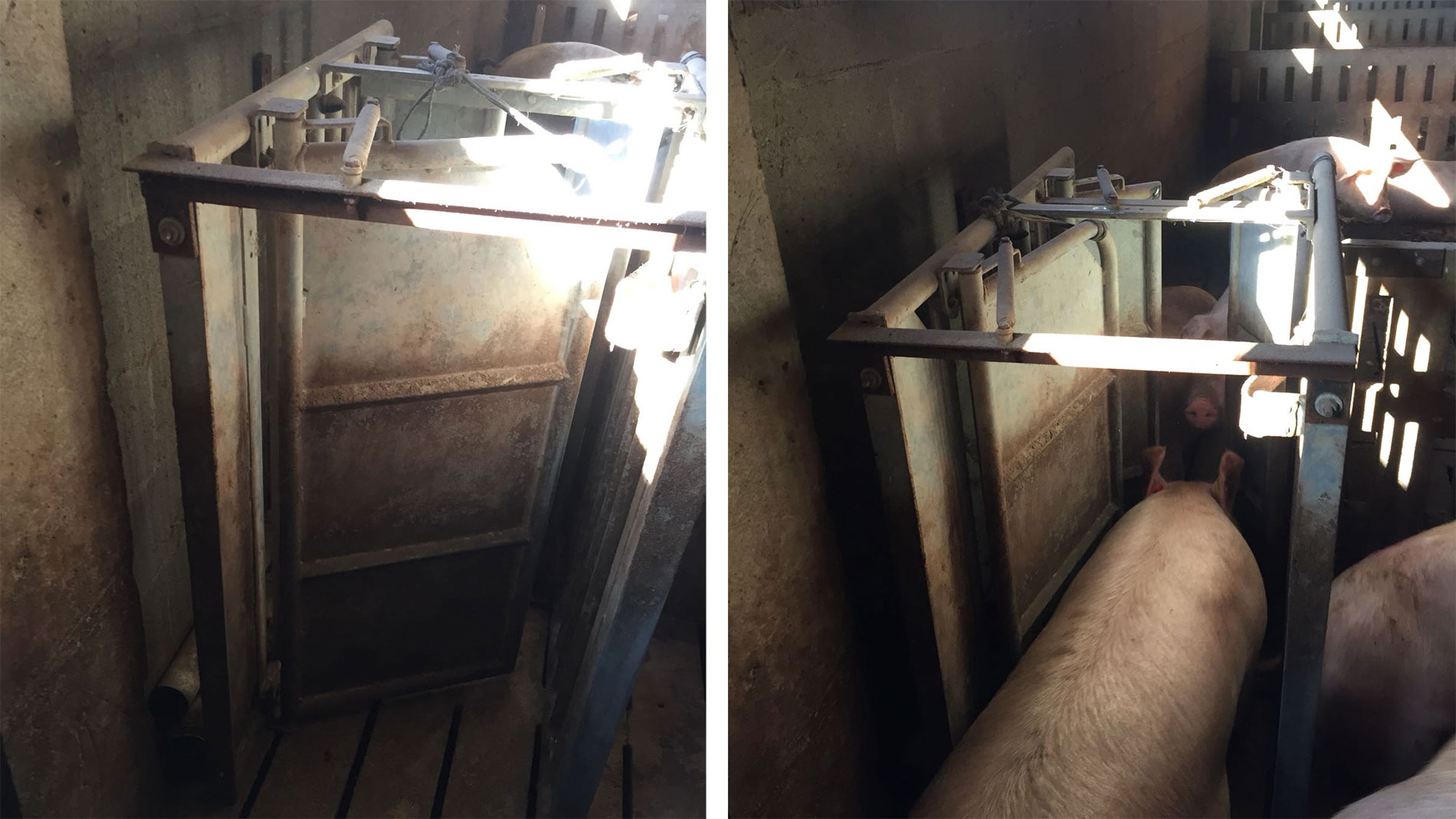 <p>Photo 1. Portes de sortie de la station d'alimentation</p>
