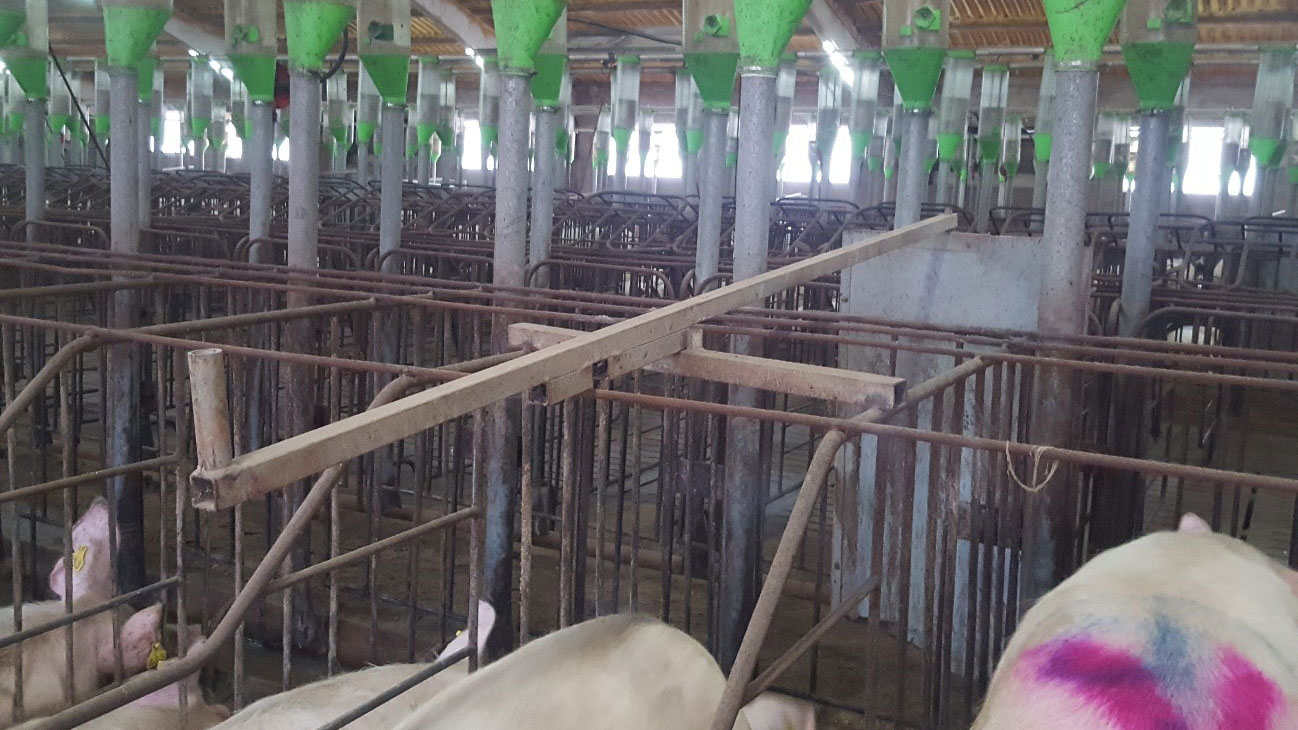 <p>Les portes du couloir avant facilitent la d&eacute;tection et l'ins&eacute;mination. Il est tr&egrave;s important que les portes puissent &ecirc;tre ouvertes et ferm&eacute;es facilement par l'arri&egrave;re.</p>
