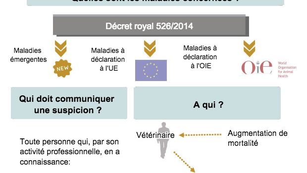 Maladies &agrave; d&eacute;claration obligatoire (adapt&eacute; du MAPAMA, Espagne)
