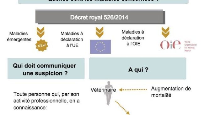 Maladies à déclaration obligatoire (adapté du MAPAMA, Espagne)
