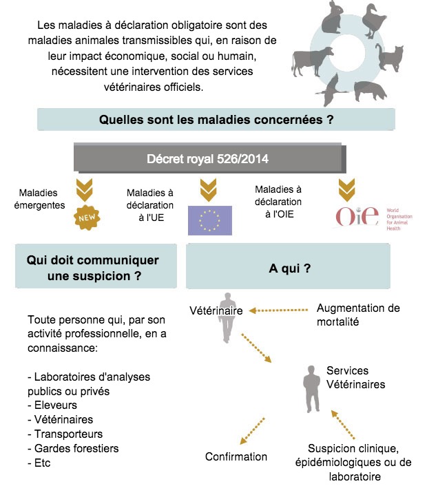 Maladies &agrave; d&eacute;claration obligatoire (adapt&eacute; du MAPAMA, Espagne)
