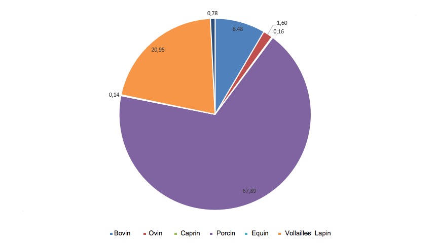 <p>Importance des diff&eacute;rentes cat&eacute;gories dans la production totale de viande</p>

