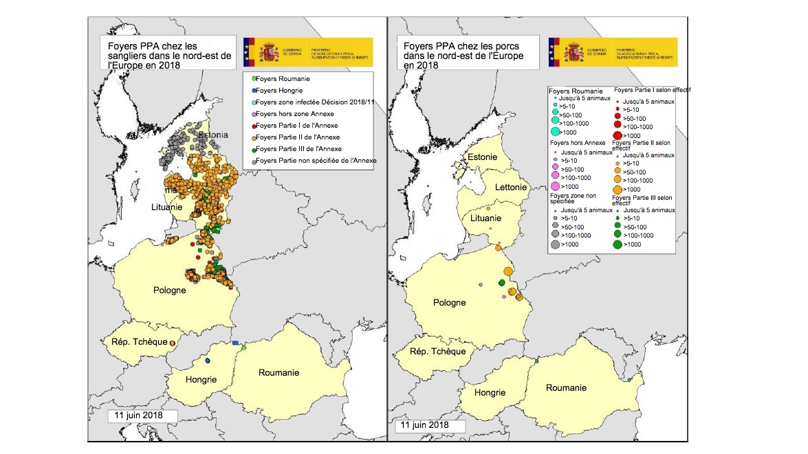 <p>Carte foyers d&eacute;clar&eacute;s en Estonie, Hongrie, Lettonie, Lituanie, Pologne, R&eacute;p. Tch&egrave;que et Roumanie en 2018 (jusqu'au 11/06/2018) (Source RASVE-ADNS)</p>
