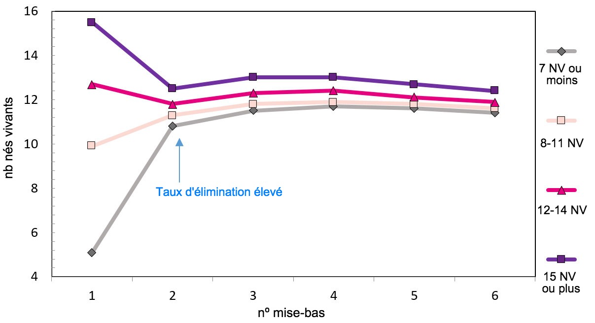 <p>Graphique 1. Production tout au long de la vie de la truie selon les porcelets n&eacute;s.</p>
