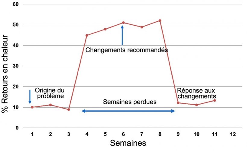 Graphique 1. R&eacute;ponse par semaine de service
