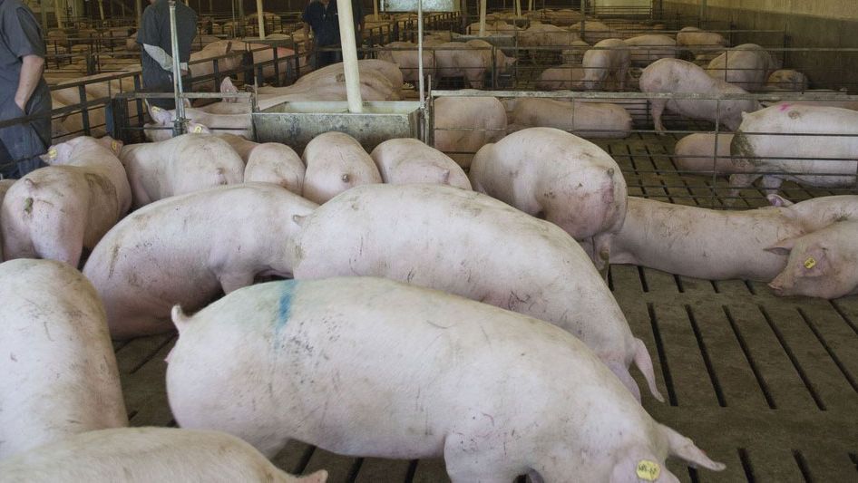 Photo 1. Salle pour le remplacement en Am&eacute;rique du Nord. Avec l'aimable autorisation de Mar&iacute;a Jos&eacute; Clavijo.
