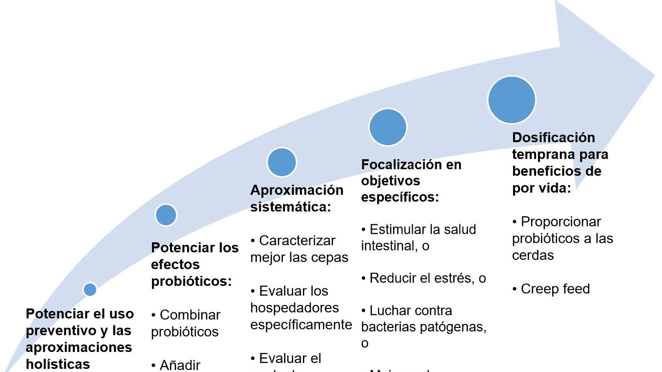 Figure 2. Strat&eacute;gies visant &agrave; am&eacute;liorer l'utilisation des probiotiques &agrave; un stade pr&eacute;coce.
