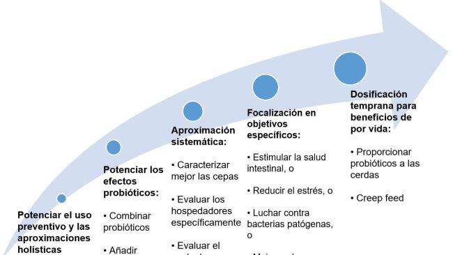 Figure 2. Stratégies visant à améliorer l'utilisation des probiotiques à un stade précoce.
