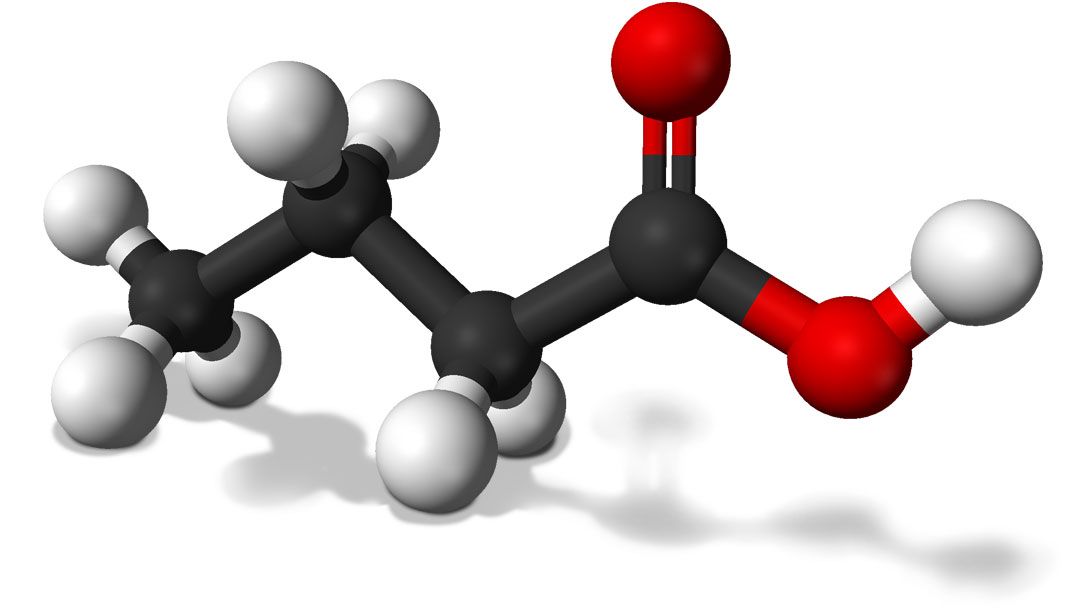 Acide butyrique
