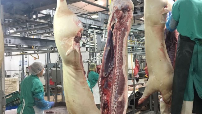 abattoir
