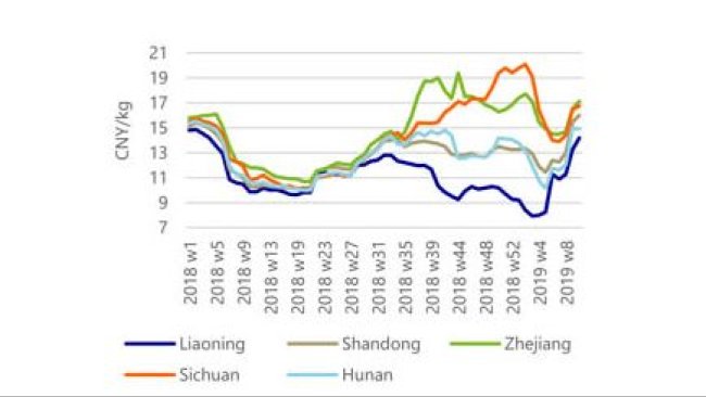 Les prix du porc régionaux convergent à mesure que les restrictions de déplacement s'assouplissent.