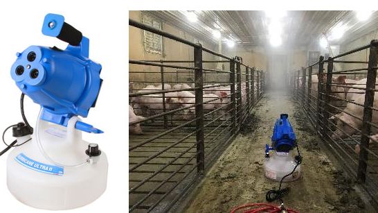 Figure 2. Exposition par a&eacute;rosol des cochettes de remplacement pour Mycoplasma hyopneumoniae.
