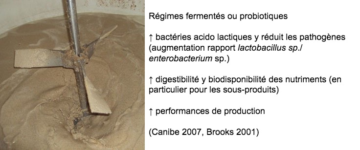 Figure 3: Il peut &ecirc;tre&nbsp;&eacute;galement int&eacute;ressant d&rsquo;encourager la fermentation gr&acirc;ce &agrave; l&rsquo;utilisation de r&eacute;gimes pr&eacute;ferment&eacute;s ou de probiotiques. De nombreux avantages leur sont attribu&eacute;s tels que l&#39;augmentation du microbiote favorable (am&eacute;lioration rapport lactobacillus /ent&eacute;robact&eacute;ries), des am&eacute;liorations digestives et enfin des am&eacute;liorations des performances productives de l&#39;animal.
