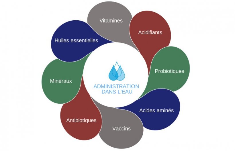 Figure 1: Actions possibles dans l&#39;eau de boisson
