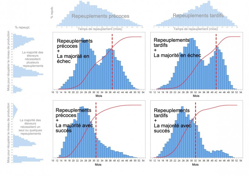 Figure 1. Quatre mod&egrave;les diff&eacute;rents de repeuplement du cheptel porcin sont d&eacute;crits en fonction du moment o&ugrave; les d&eacute;cisions de repeuplement sont prises (pr&eacute;coce / tardif: en haut du graphique) et du temps n&eacute;cessaire pour r&eacute;tablir compl&egrave;tement la production (quelques tentatives ou plusieurs: &agrave; gauche du graphique). Les distributions de probabilit&eacute; cumul&eacute;es du temps de r&eacute;cup&eacute;ration sont indiqu&eacute;es en rouge et les lignes pointill&eacute;es rouges indiquent le nombre de mois n&eacute;cessaires jusqu&#39;&agrave; ce que 80% du repeuplement soit atteint.
