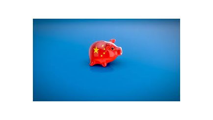 chine prix porcs