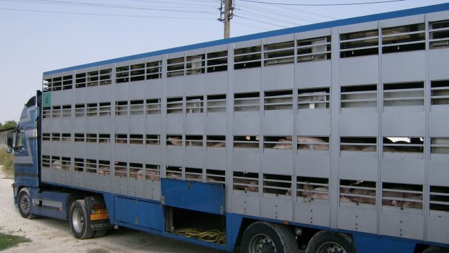 véhicules transport