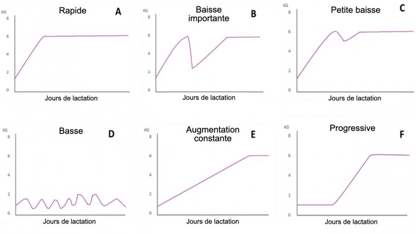 Figure 1. Profils d&#39;alimentation des truies allaitantes d&eacute;crits par Koketsu et al (1996a). A) Augmentation rapide de la consommation; B) diminution significative; C) petite chute; D) faible consommation tout au long de la lactation; E) faible consommation la premi&egrave;re semaine de lactation et augmentation constante le reste de la lactation; et F) augmentation progressive de la consommation.
